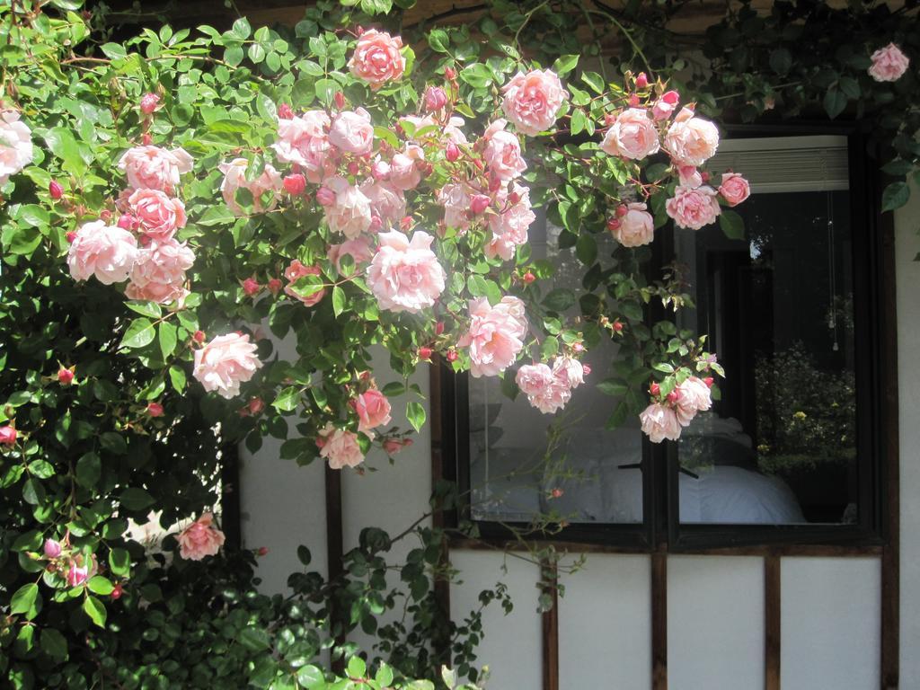 Rose Cottage At The Elms Christchurch Habitación foto